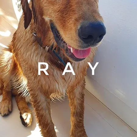 Villa Khepri Porto Rotondo